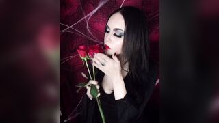 Type F in the comments for these roses ???? - Felicia Vox