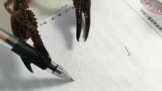 Scorpions are the first insect to understand a mathematical sequence, the world is changing, this video shows that not only humans evolve