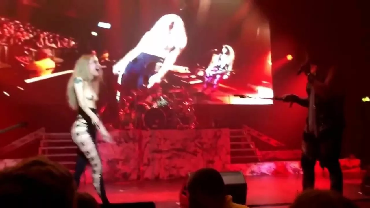 Festival Sluts Girl Flashes Her Pussy At Steel Panther Concert picture