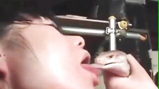 Yeah, lick that lizard!
