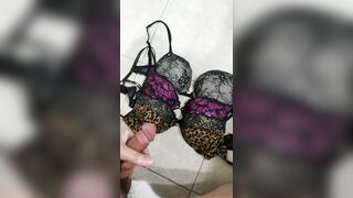 Cum on sister's bras - Cum On Bras