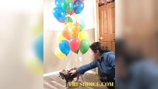 They tie a puppy to a balloon and it flies away. WTF - Doggy Style