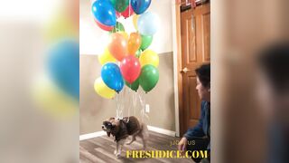 Doggy Style Position: They tie a puppy to a balloon and it flies away. WTF