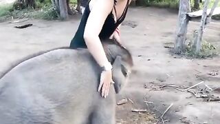 playing with elephant
