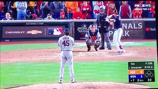 Flashing at the World Series - Behind Home Plate at WS - Drunken