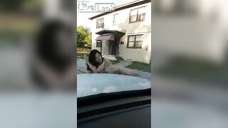Drunk: nude gal jumps on guy's car