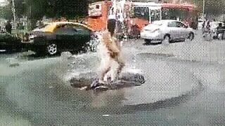 Drunk woman being washed or masturbated while sitting on a fountain in public