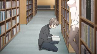Ecchi: Bunny Gal Senpai in the library, but greater amount daring